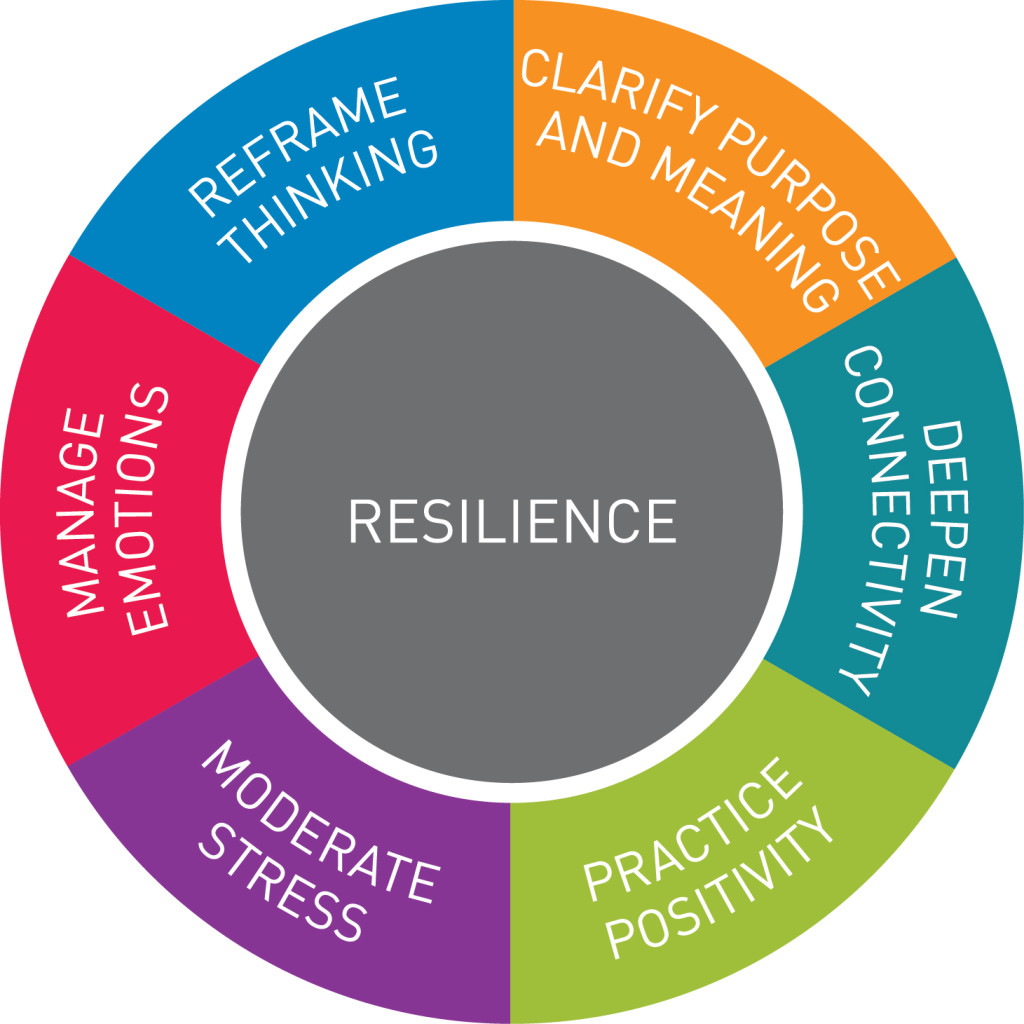 resilience_diagram_enlarged_text-1024x1024