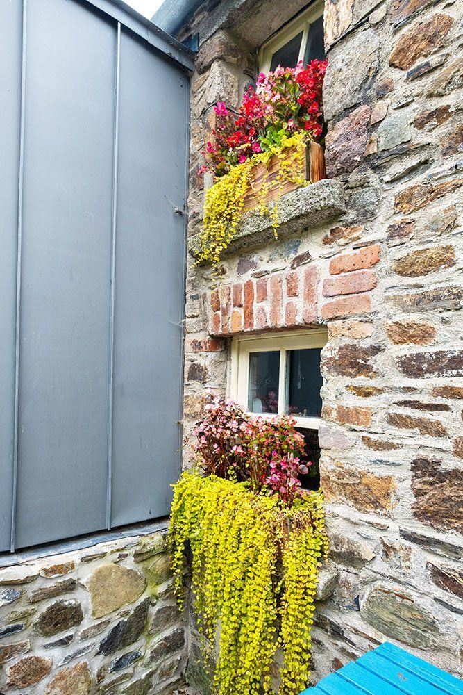 Shaolin Cottage - Isabel Barros Architects Wexford