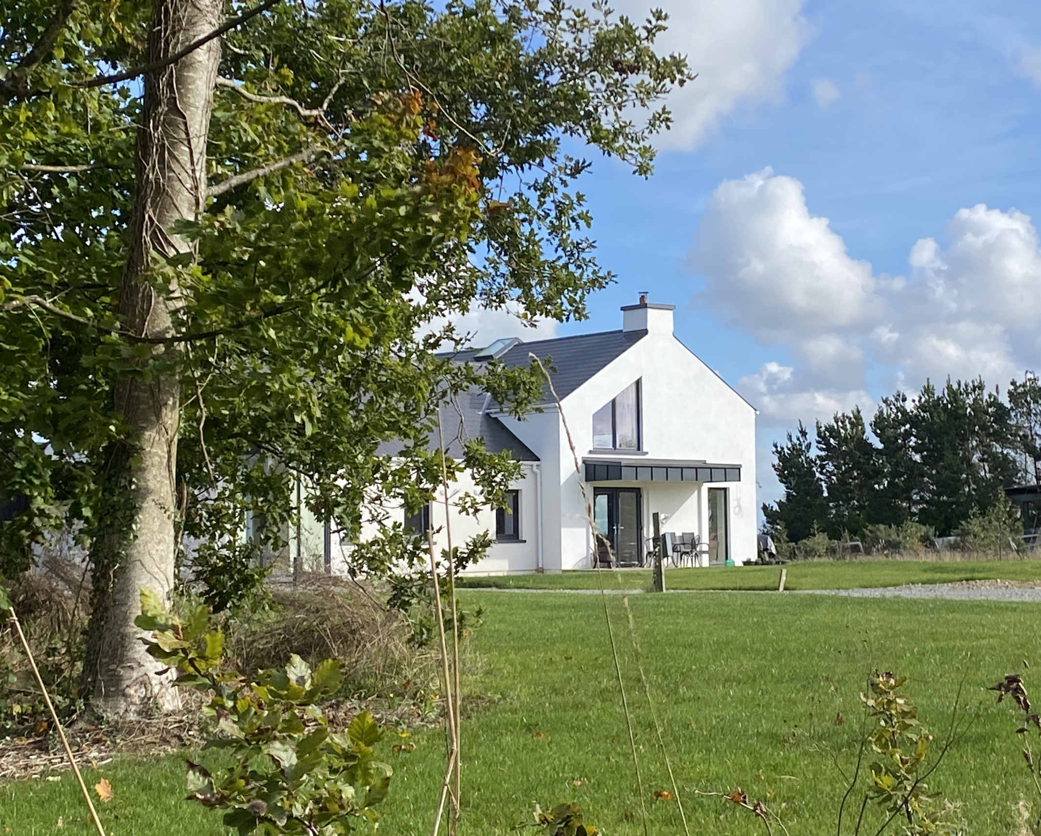 Library House, Bree - Isabel Barros Architects Wexford